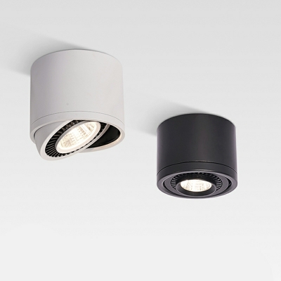 Modern Cylinder Shape 1 Light Metal Flush Ceiling Light Fixture for Living Room