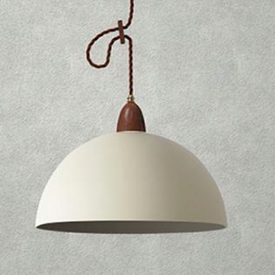 Dome Modern Pendant Lighting Fixtures Metal 1-Light for Living Room