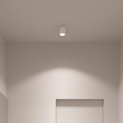 Modern 1 Light Metal Flush Mount Ceiling Lighting Fixture for Dining Room