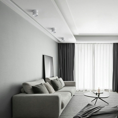 Unique Shape Modern Metal Flush Ceiling Lighting Fixture for Living Room