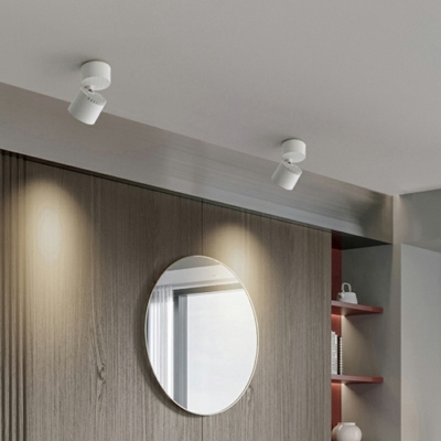 Simple Shape Modern Metal Flush Ceiling Light Fixtures for Bed Room