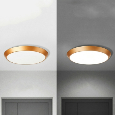 Modern Style Round Shape 1 Light Metal Flush Ceiling Light