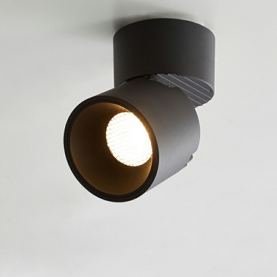 Simple Shape Modern Metal Flush Ceiling Light Fixtures for Bed Room
