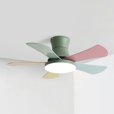 LED Contemporary Pendant Light  Colorful Iron Ceiling Fan Light