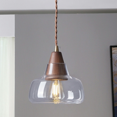Dome Shape Modern Style Glass Down Lighting Pendant in Clear