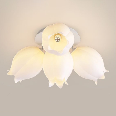 Modern Minimalist  Iron Ceiling Light  Nordic Style Acrylic Flushmount Light for Living Room