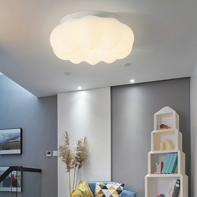 Modern Minimalist Ceiling Light  Nordic Style Acrylic Flushmount Light for Living Room