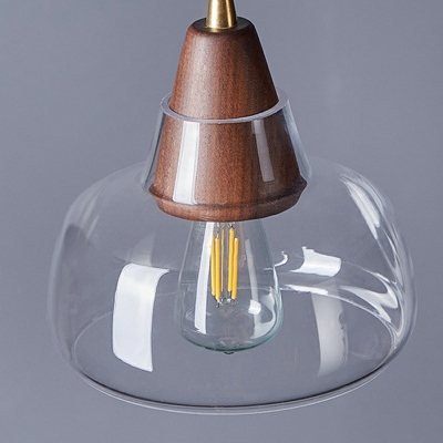 Dome Shape Modern Style Glass Down Lighting Pendant in Clear
