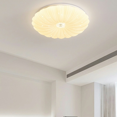 Modern Style Acrylic Ceiling Light  Nordic Style Flushmount Light for Kid's Bedroom