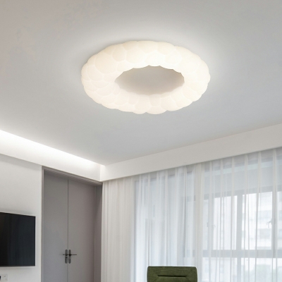 Modern Style Ceiling Light  Nordic Style Acrylic Flushmount Light for Kid's Bedroom