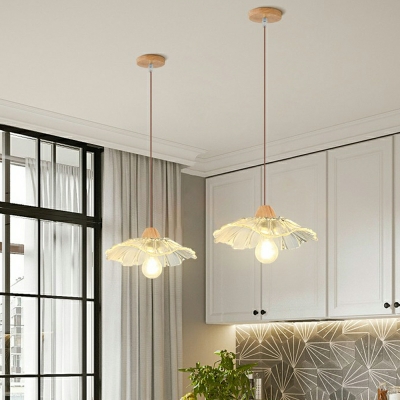 Modern Simple Style Ceiling Light  Nordic Style Macaron Ceiling Pendant