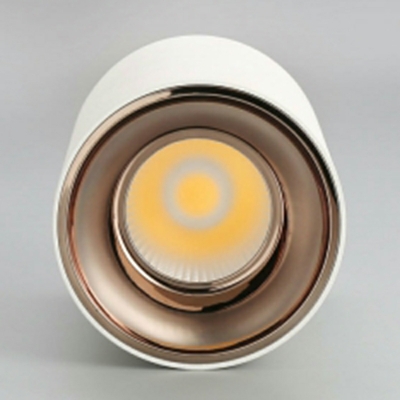White Modern Cylinder Flush Mount Ceiling Light with LED Bulb - Downward Shade
