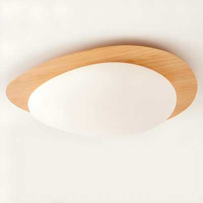 Modern Acrylic LED Flush Mount Circle Ceiling Light with White Shade