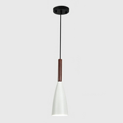 Contemporary Metal Cone Pendant with Adjustable Hanging Length and Iron Shade