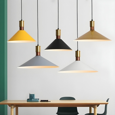 Modern Metal Pendant with Adjustable Hanging Length and Iron Shade