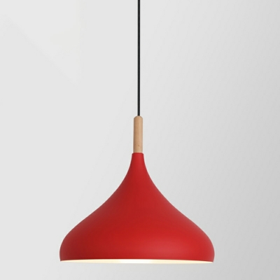 Modern Wood Pendant with Adjustable Hanging Length and Contemporary Iron Shade