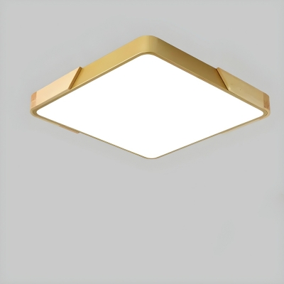 Modern Metal 1-Lights LED Bulb Ceiling Light with Acrylic Shade
