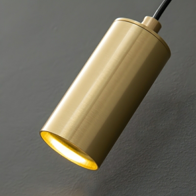 Modern Brass Metal LED Wall Lamp with 2 Lights and Included Bulb
