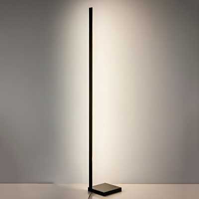 Elegant Acrylic Floor Lamp with White Light and Push-Thru Switch
