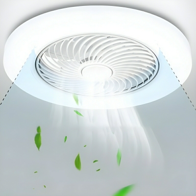 Modern Ceiling Fan with 3 Color Light, Remote and Wall Control, Flushmount