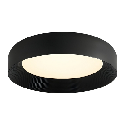 Modern LED Acrylic Flush Mount Close To Ceiling Light for residential use with clear Acrylic Shade