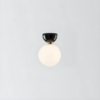 Modern Black Globe Flush Mount Ceiling Light with Clear Glass Shade
