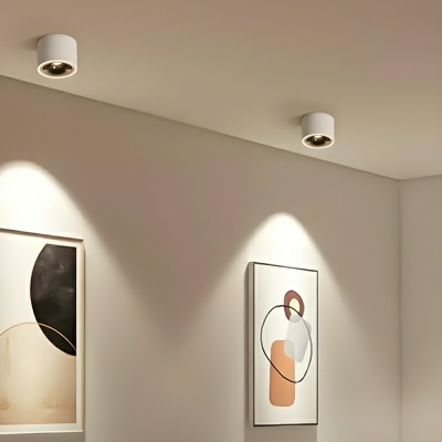 Modern Cylinder LED Flush Mount Ceiling Light in Warm Light for Residential Use