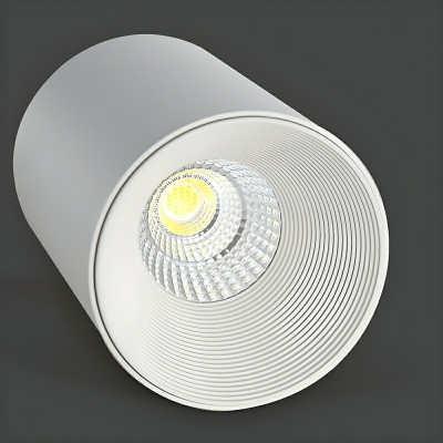 Modern Metal Flush Mount Ceiling Light with LED Bulbs, Cylinder Shape for Residential Use