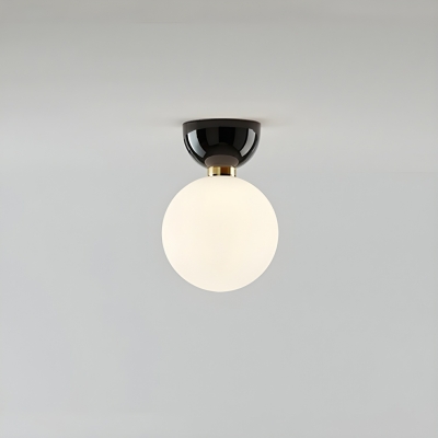 Modern Black Globe Flush Mount Ceiling Light with Clear Glass Shade
