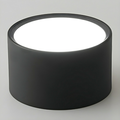 Cylinder Metal Flush Mount LED Ceiling Light for Modern Residential Use with 1 Light
