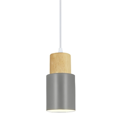Modern Metal Pendant Light with Adjustable Hanging Length for Residential Use