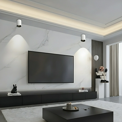 Modern Metal Flush Mount Ceiling Light with LED Bulbs, Cylinder Shape for Residential Use