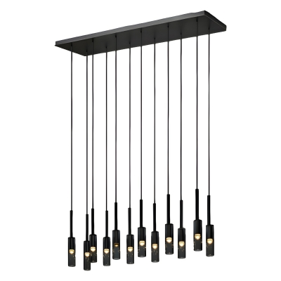 Modern Clear Glass Pendant Light with Adjustable Hanging Length and Black Metal