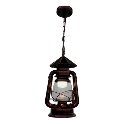 Industrial Style Clear Glass Pendant Light with Chain Mounting