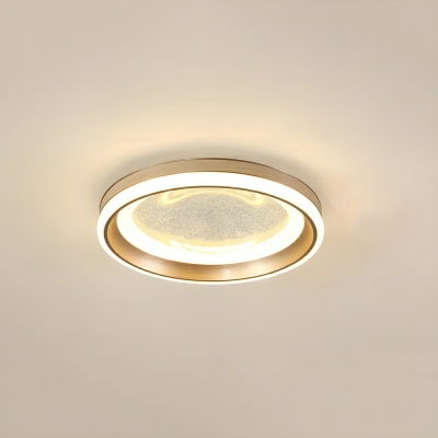 Modern Circle LED Flush Mount Ceiling Light with Clear Acrylic Shade