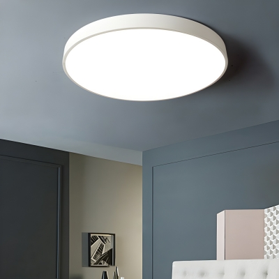 Modern LED Bulb Metal Cylinder Flush Mount Ceiling Light with White Shade