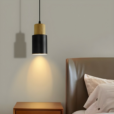 Modern Metal Pendant Light with Adjustable Hanging Length for Residential Use