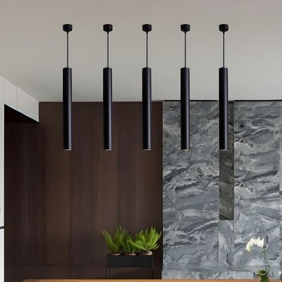 Modern Black Metal Pendant Light with Adjustable Hanging Length and Round Canopy
