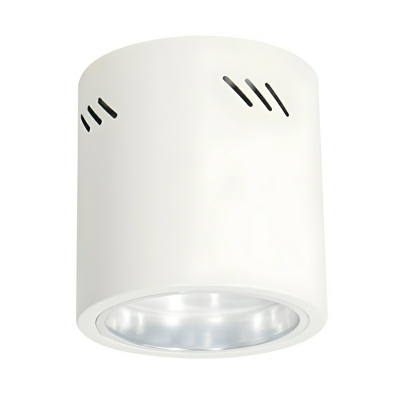 Modern Cylinder Flush Mount LED Ceiling Light with White Light for Residential Use
