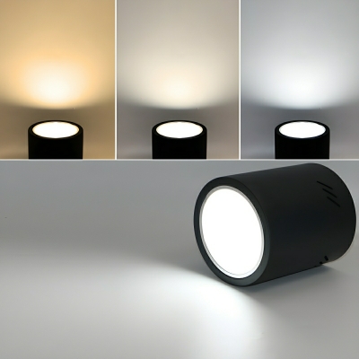Modern Cylinder Flush Mount LED Ceiling Light with White Light for Residential Use