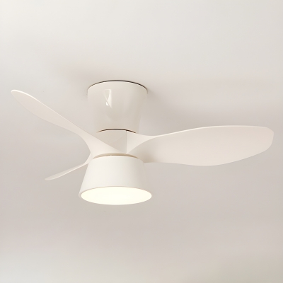 Acrylic Modern Ceiling Fan with Remote Control and integrated LED Light