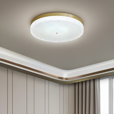 Gold LED Flush Mount Modern Ceiling Light with Clear Glass Shade - for Residential Use