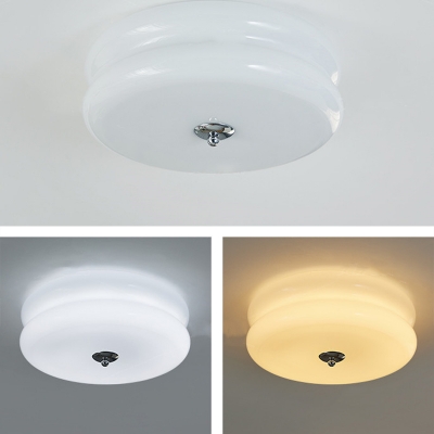 Modern 1-Light LED Bulb Metal Flush Mount Ceiling Light with Glass Shade