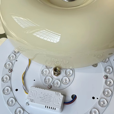 Modern 1-Light LED Flush Mount Ceiling Light with Clear Glass Shade (3 Color Light)