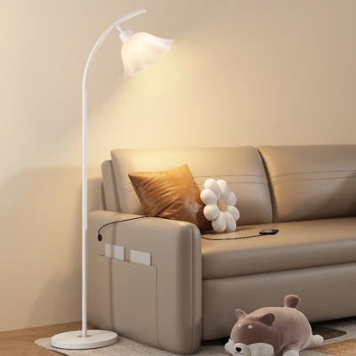 Modern Dome-Shaped Metal Floor Lamp With Rocker Switch and Acrylic Shade for Moms