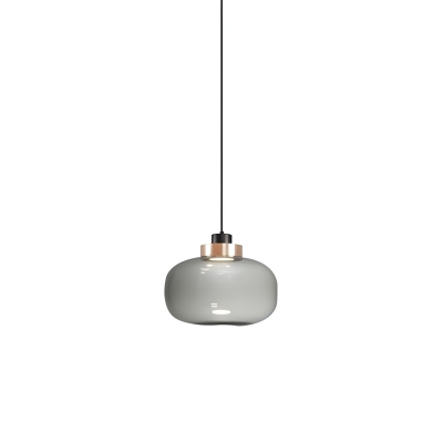 Modern Metal Pendant Light with Clear Glass Shade for Direct Wired Electric Home Use