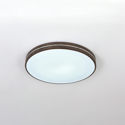 Modern Metal Ceiling Light with Acrylic Shade for Residential Use