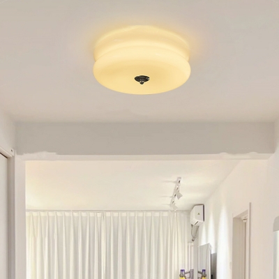 Modern 1-Light LED Bulb Metal Flush Mount Ceiling Light with Glass Shade