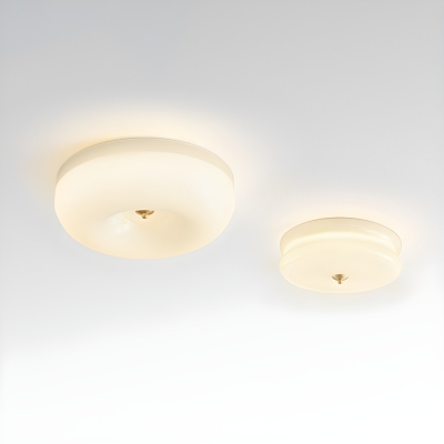 Modern LED Flush Mount Ceiling Light with Clear Glass Shade for Comprehensive Lighting