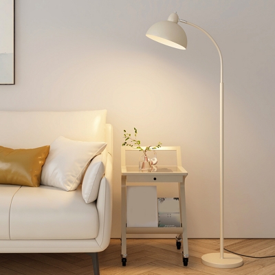 Modern LED Floor Lamp with Iron Dome Shade and Rocker Switch